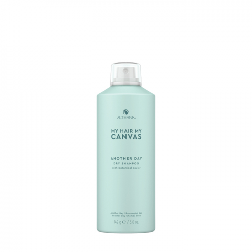 Шампунь сухой еще один день / MY HAIR MY CANVAS Another Day Dry shampoo 142 мл