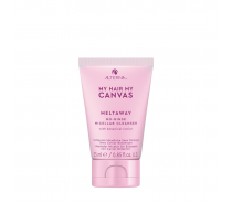 Шампунь сухой мицеллярный Второе дыхание / MY HAIR MY CANVAS MeltAway No-rinse M..