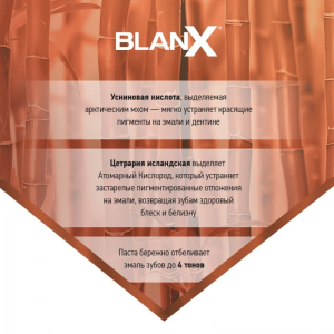 Паста зубная Интенсивное удаление пятен / Intensive Stain Removal BlanX Classic 75 мл