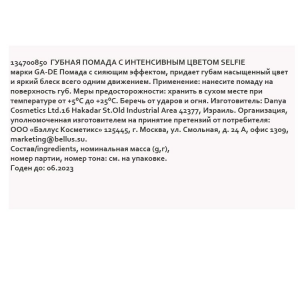 Помада губная с интенсивным цветом №850 / SELFIE 4,2 г