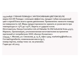 Помада губная с интенсивным цветом № 856 / SELFIE 4,2 г