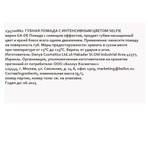 Помада губная с интенсивным цветом № 862 / SELFIE 4,2 г