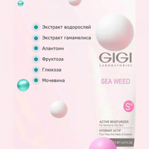 Крем увлажняющий активный / Active Moisturizer SEA WEED 100 мл