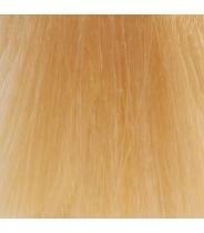 10NG крем-краска безаммиачная для волос / Lumishine Demi-Permanent Liquid Color Natural Golden Lightest Blonde 60 мл