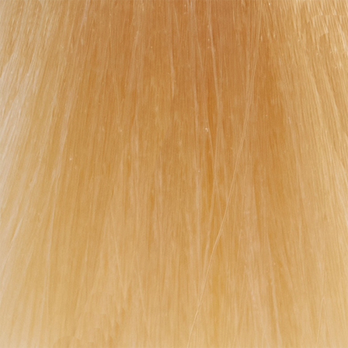 10NG крем-краска безаммиачная для волос / Lumishine Demi-Permanent Liquid Color Natural Golden Lightest Blonde 60 мл