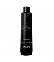 Шампунь тонирующий черный угольный / BLONDE ELEVATION CHARCOAL SHAMPOO 300 мл