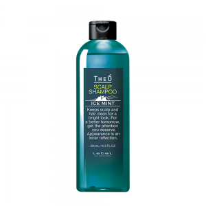 Шампунь мужской многофункциональный Ледяная мята, для мужчин / THEO SCALP SHAMPOO ICE MINT 320 мл