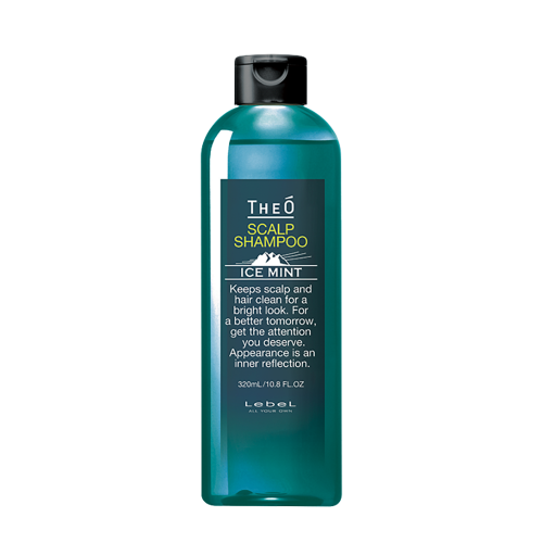 Шампунь мужской многофункциональный Ледяная мята, для мужчин / THEO SCALP SHAMPOO ICE MINT 320 мл