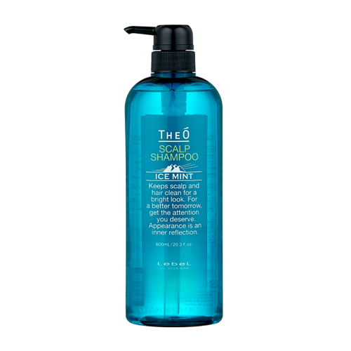 Шампунь мужской многофункциональный Ледяная мята, для мужчин / THEO SCALP SHAMPOO ICE MINT 600 мл