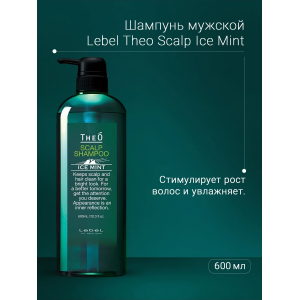 Шампунь мужской многофункциональный Ледяная мята, для мужчин / THEO SCALP SHAMPOO ICE MINT 600 мл