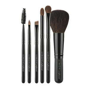 Набор кистей (6 предметов + чехол) COMPACT KIT