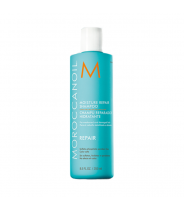 Шампунь восстанавливающий / Moisture Repair Shampoo 250 мл