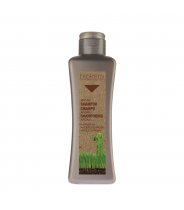 Шампунь с аргановым маслом для волос / BIOKERA Argan 300 мл