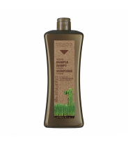 Шампунь с аргановым маслом для волос / BIOKERA Argan 1000 мл