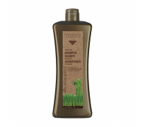 Шампунь с аргановым маслом для волос / BIOKERA Argan 1000 мл
